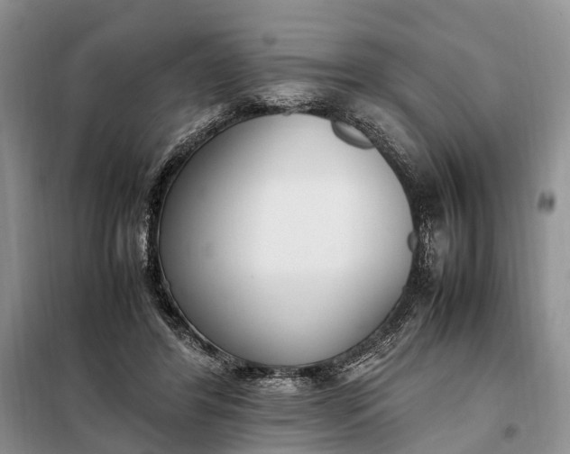 X0000097980404200804071130