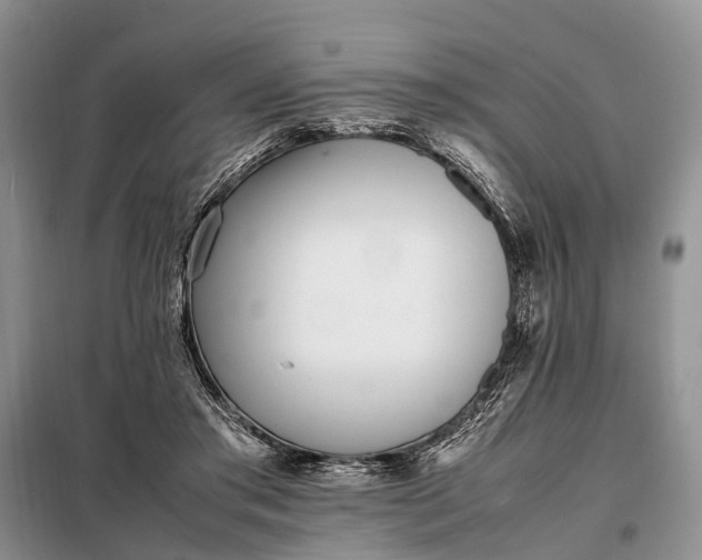 X0000097980405200804071130