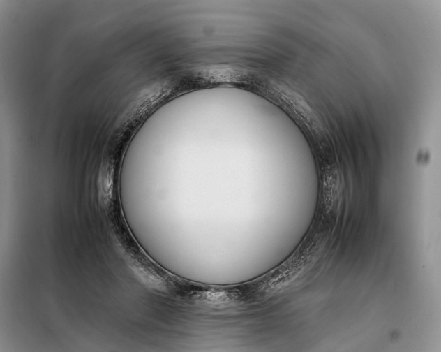 X0000097980406200804071130