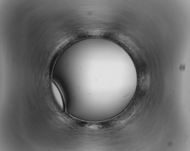 X0000097980407200804071130