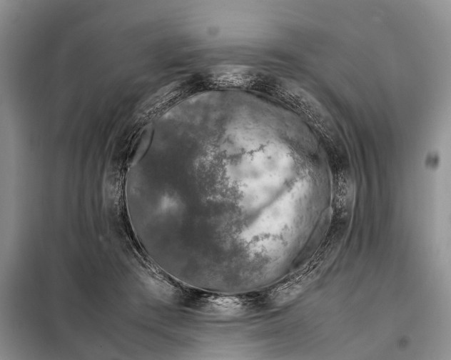 X0000097980409200804071130
