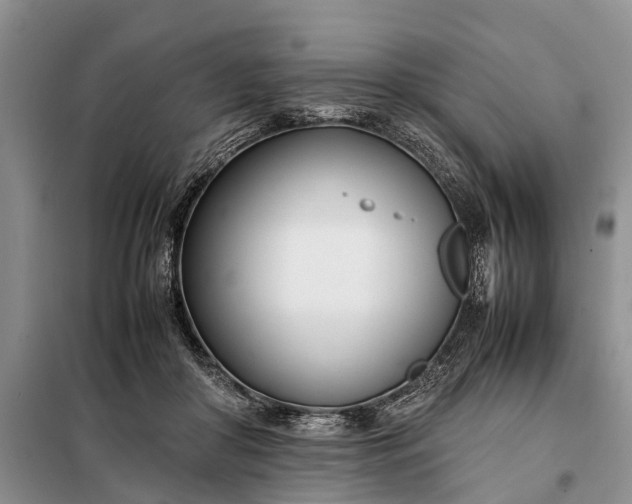X0000097980410200804071130