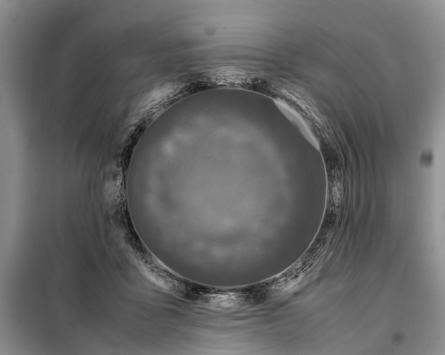 X0000097980411200804071130
