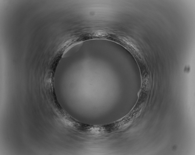X0000097980415200804071130