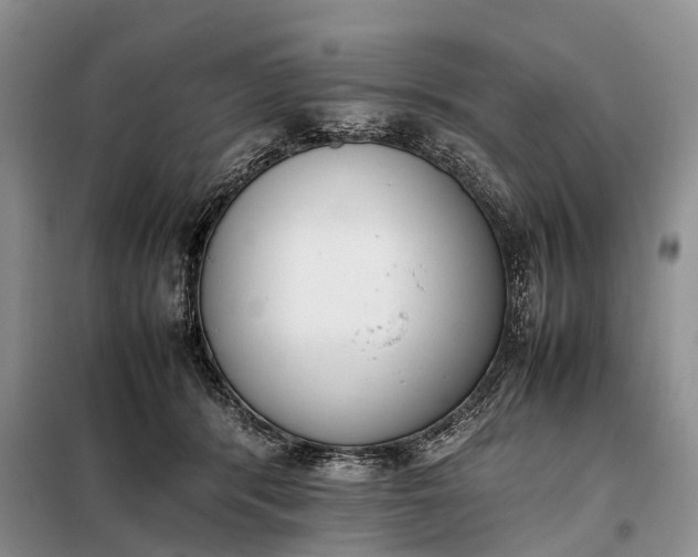 X0000097980416200804071130