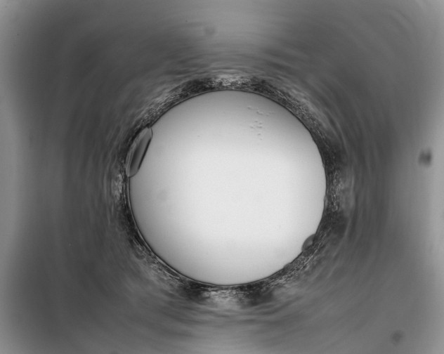 X0000097980417200804071130