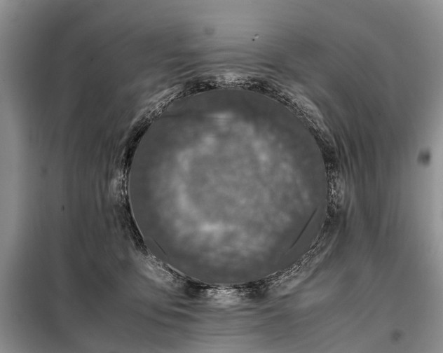 X0000097980419200804071130