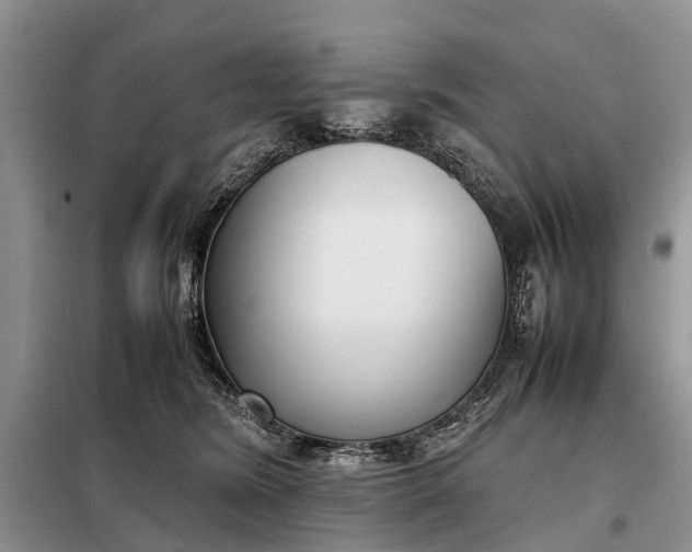 X0000097980420200804071130