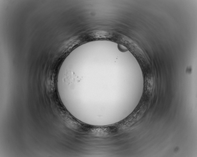X0000097980422200804071130