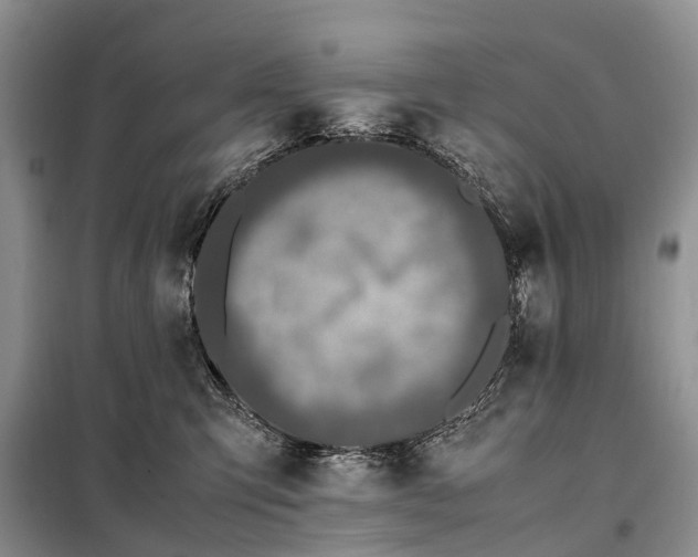 X0000097980423200804071130