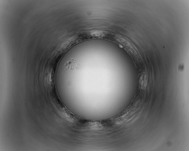 X0000097980424200804071130