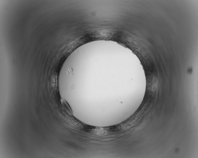 X0000097980425200804071130