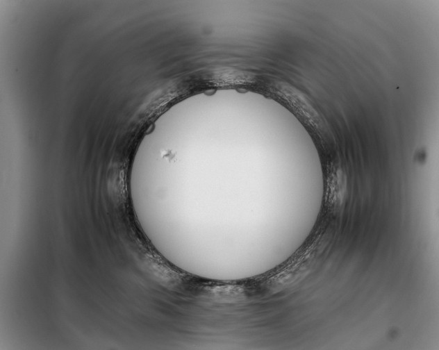 X0000097980426200804071129