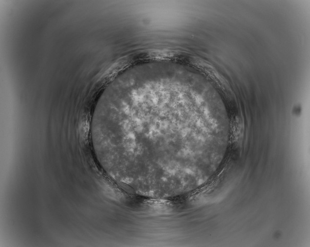 X0000097980427200804071129