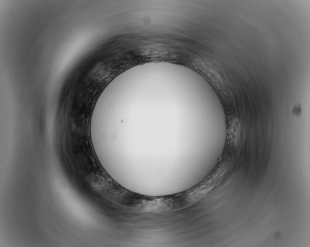 X0000097980430200804071129