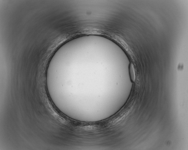 X0000097980433200804071129