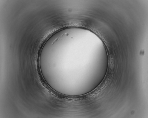 X0000097980434200804071129