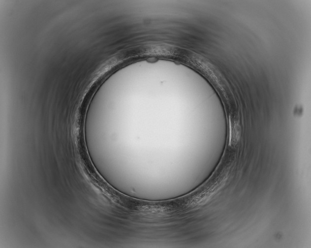 X0000097980435200804071129