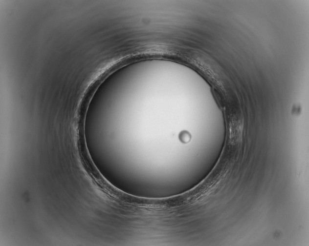 X0000097980436200804071129