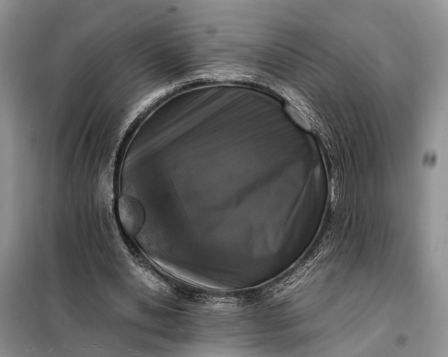 X0000097980438200804071129