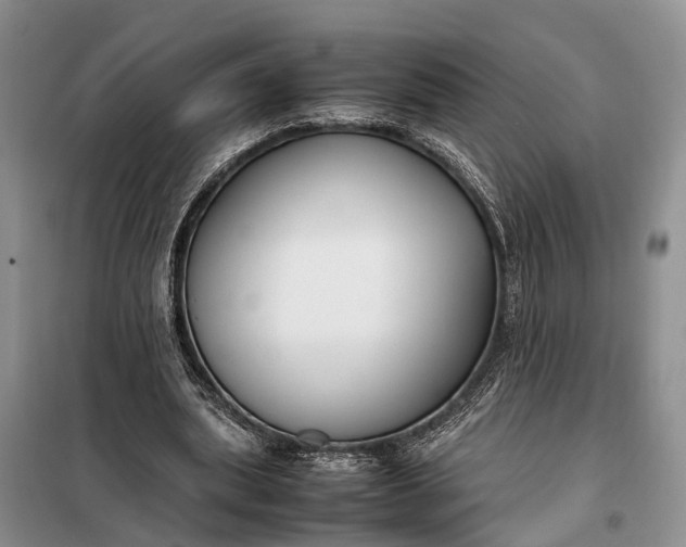 X0000097980439200804071129