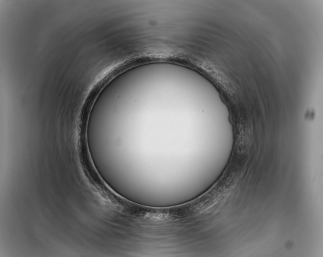 X0000097980440200804071129