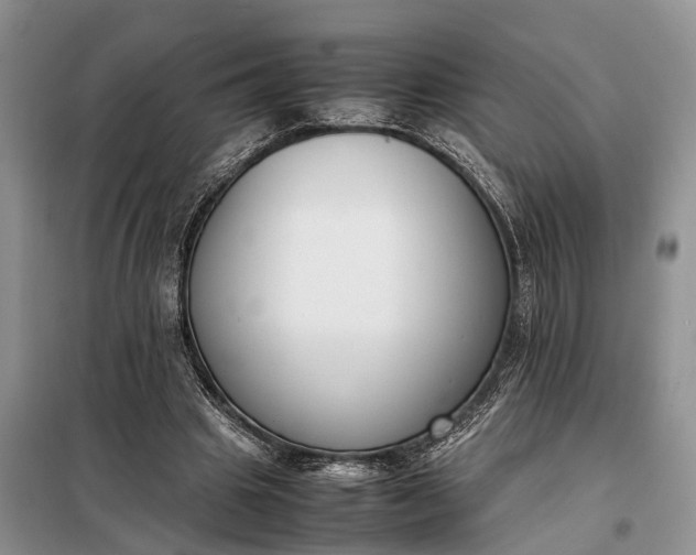 X0000097980441200804071129