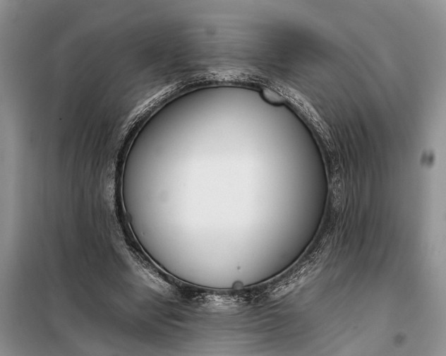 X0000097980442200804071129