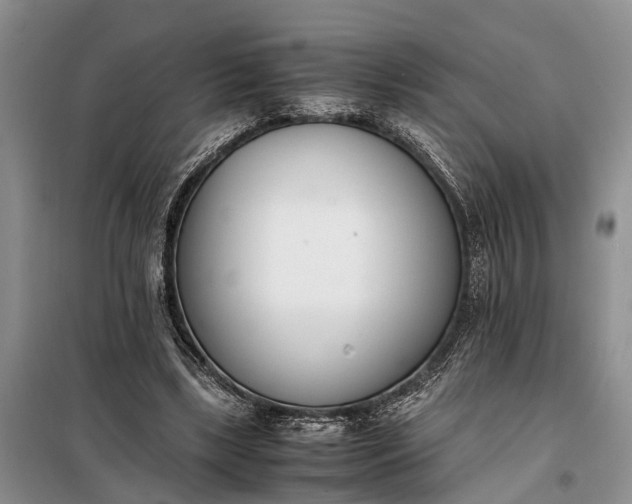X0000097980443200804071129