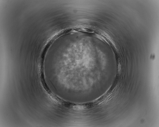 X0000097980444200804071129