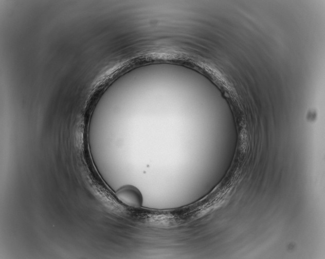 X0000097980446200804071129