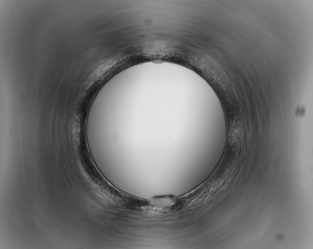 X0000097980448200804071129