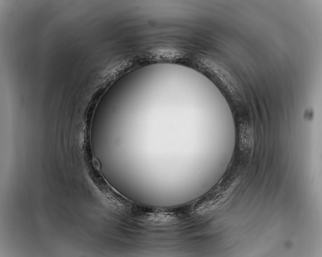 X0000097980451200804071129
