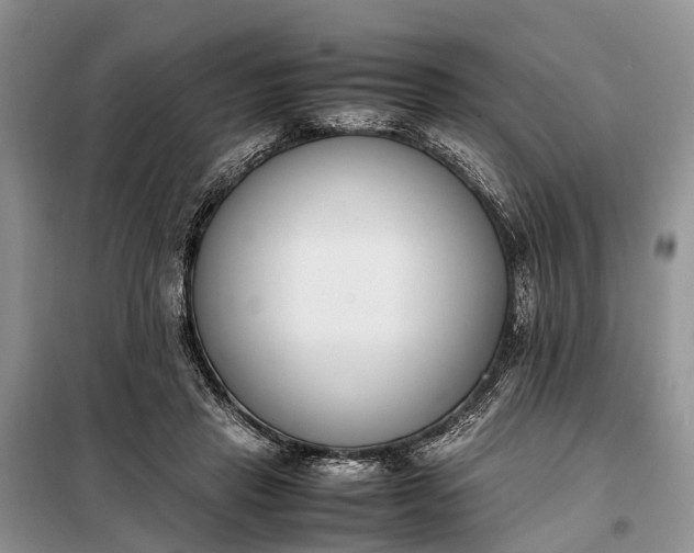 X0000097980453200804071129