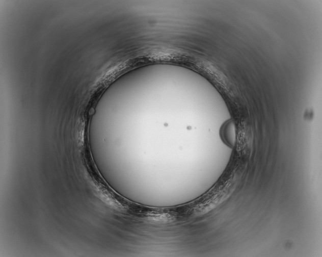 X0000097980454200804071129