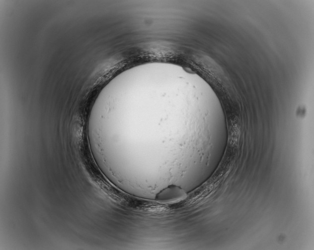 X0000097980456200804071129