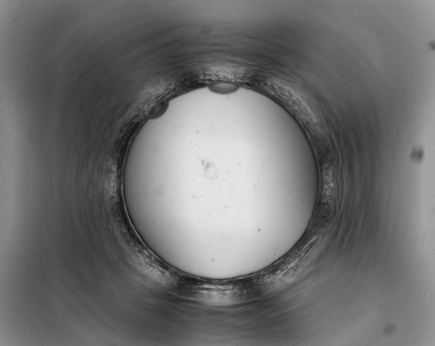 X0000097980457200804071129