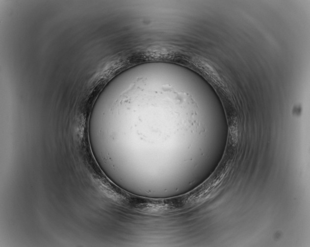 X0000097980458200804071129