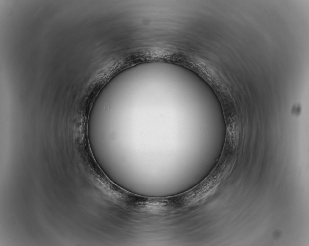 X0000097980462200804071129