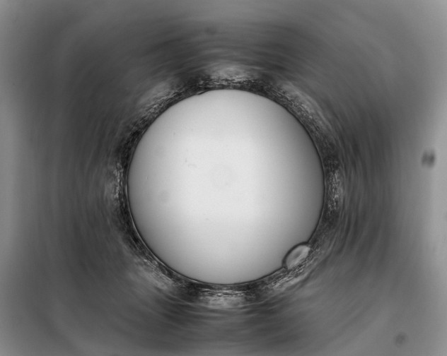 X0000097980463200804071129