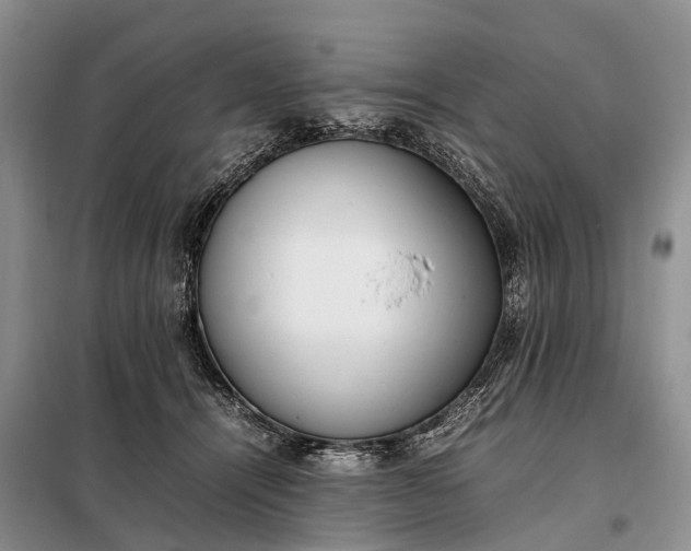 X0000097980464200804071129