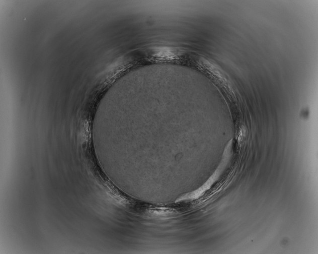 X0000097980467200804071129