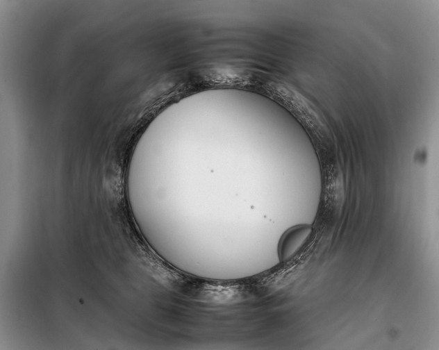 X0000097980469200804071129