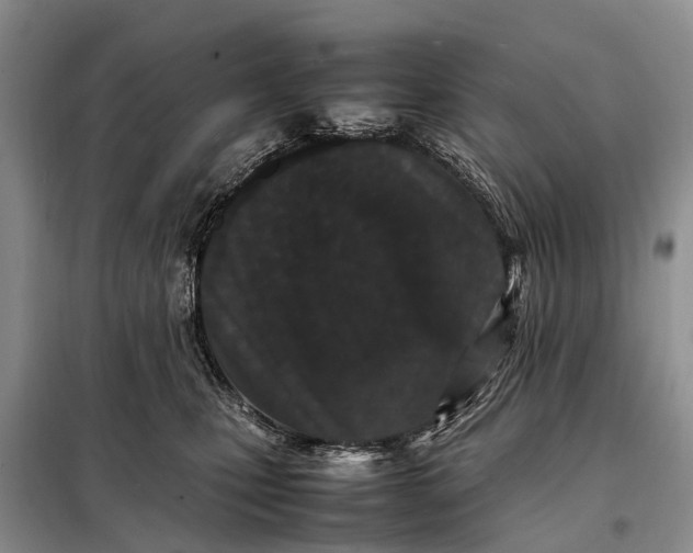X0000097980471200804071129