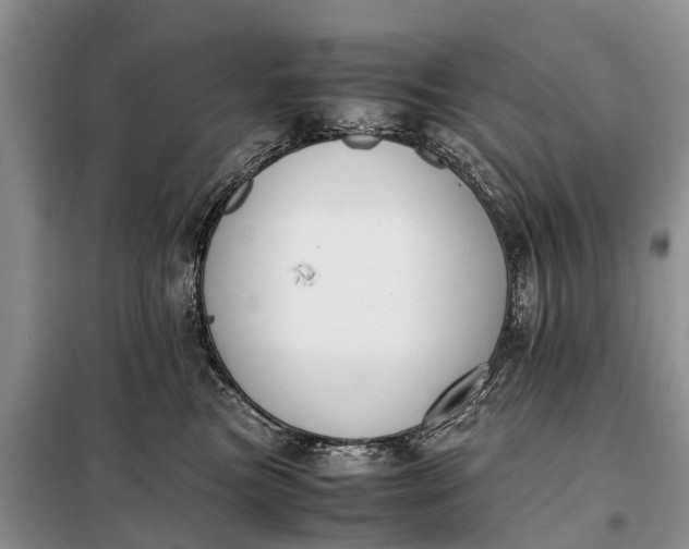 X0000097980473200804071129
