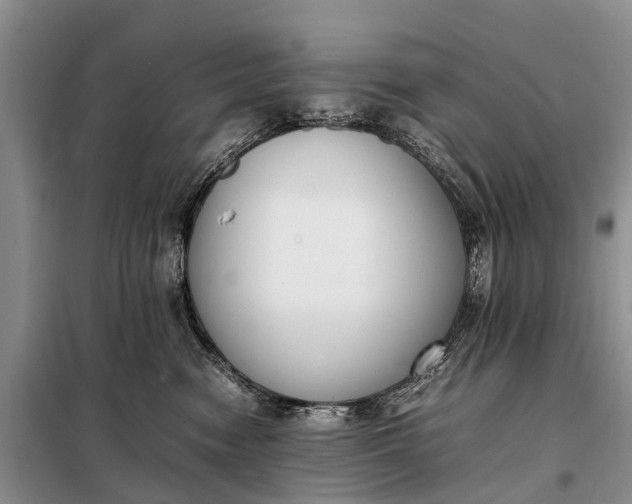 X0000097980474200804071129