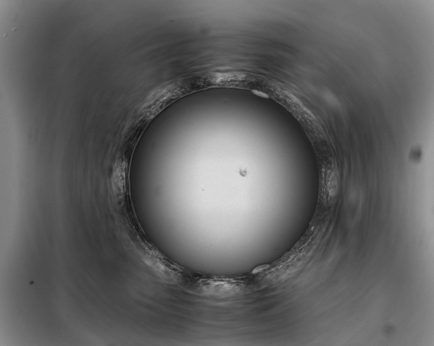 X0000097980475200804071129