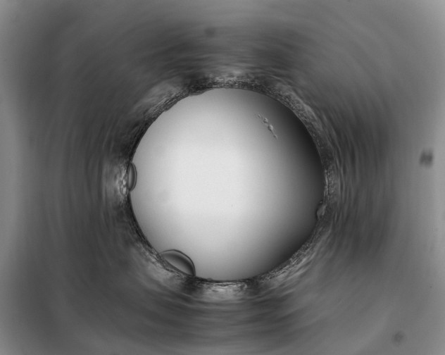 X0000097980479200804071129