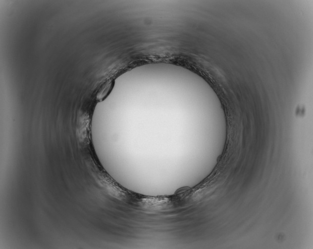 X0000097980480200804071129