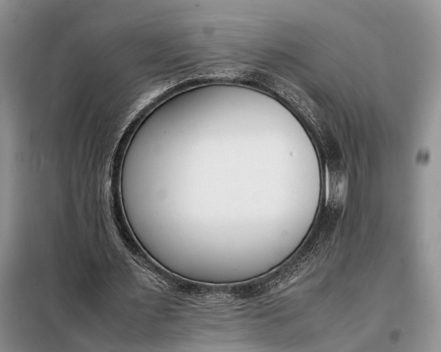 X0000097980483200804071128